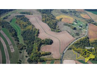 Property photo 39 - 1,153 +/- Acres offered in 15 TractsLAND AUCTION